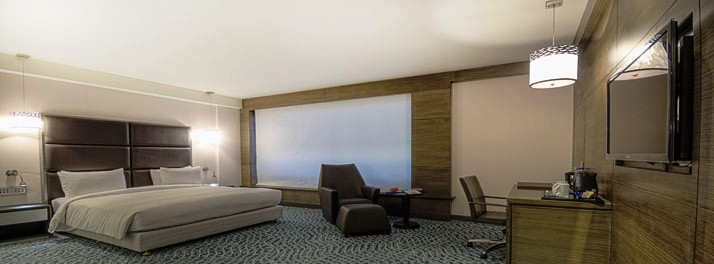 677/Park Plaza Kolkata Ballygunge - Kolkata 12.jpg